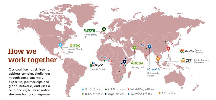 Map of the world showing where the nine AIRCA member centres are based
