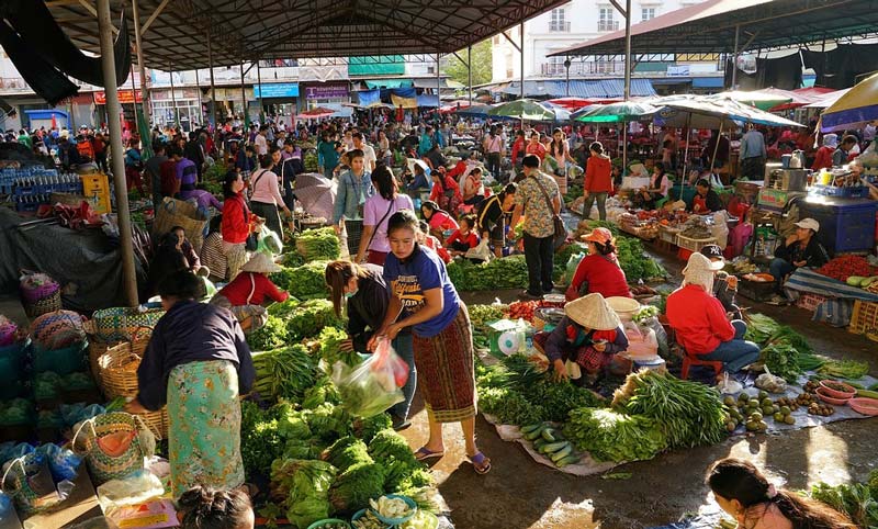 UN Food Systems Summit brief calls for global increase in consumption of fruits and vegetables