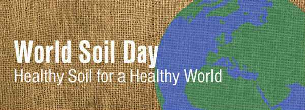 healthy_soil healthy_soil